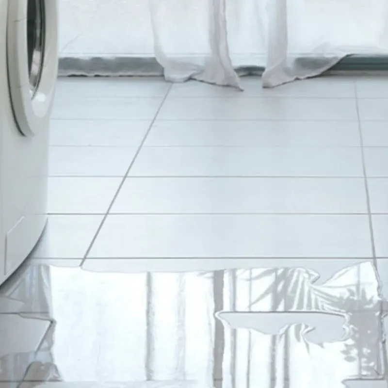 Appliance Leak Cleanup in South Carthage, TN