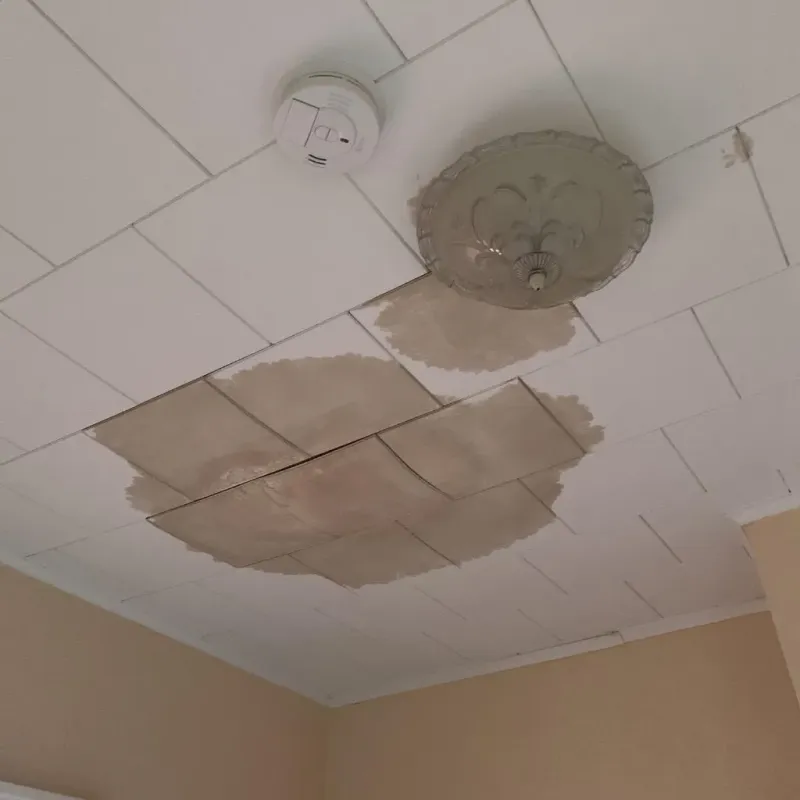 Ceiling Water Damage Repair in South Carthage, TN