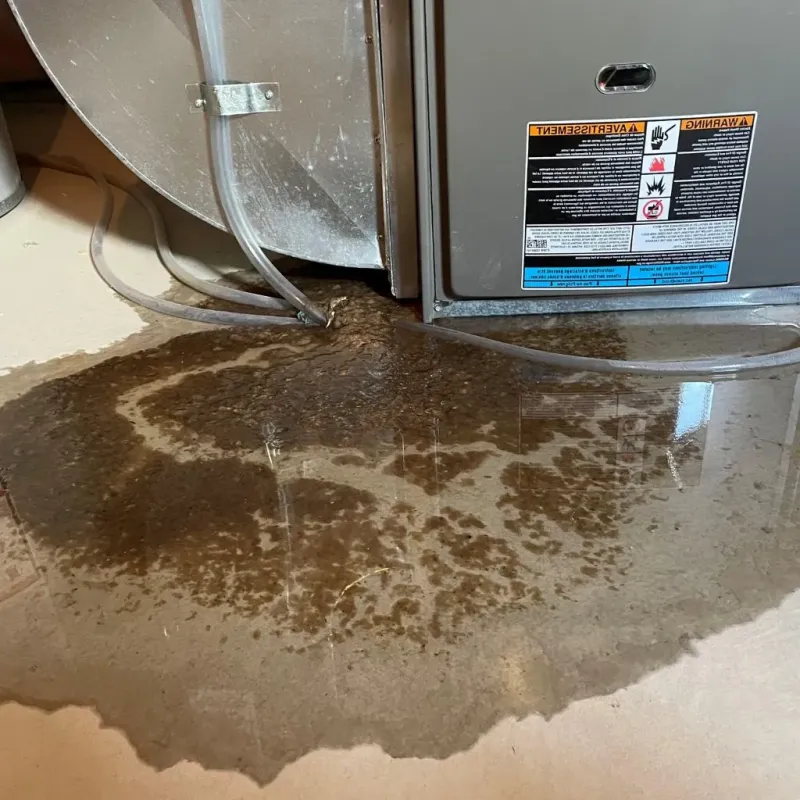Pipe Burst and Leak Restoration in South Carthage, TN
