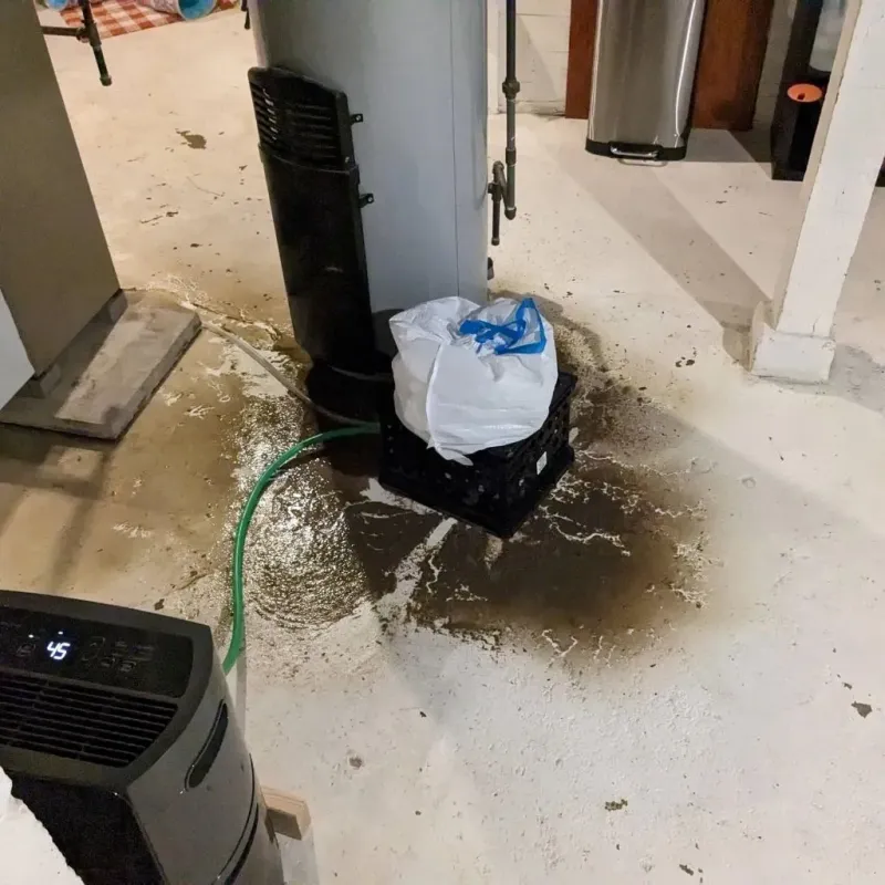Sewage Backup Cleanup Service in South Carthage, TN